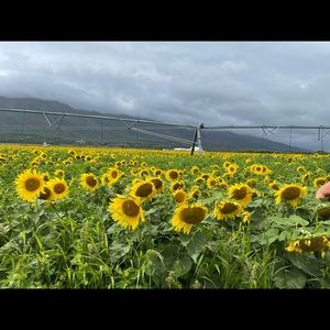 Meet your Posher, Cecelia